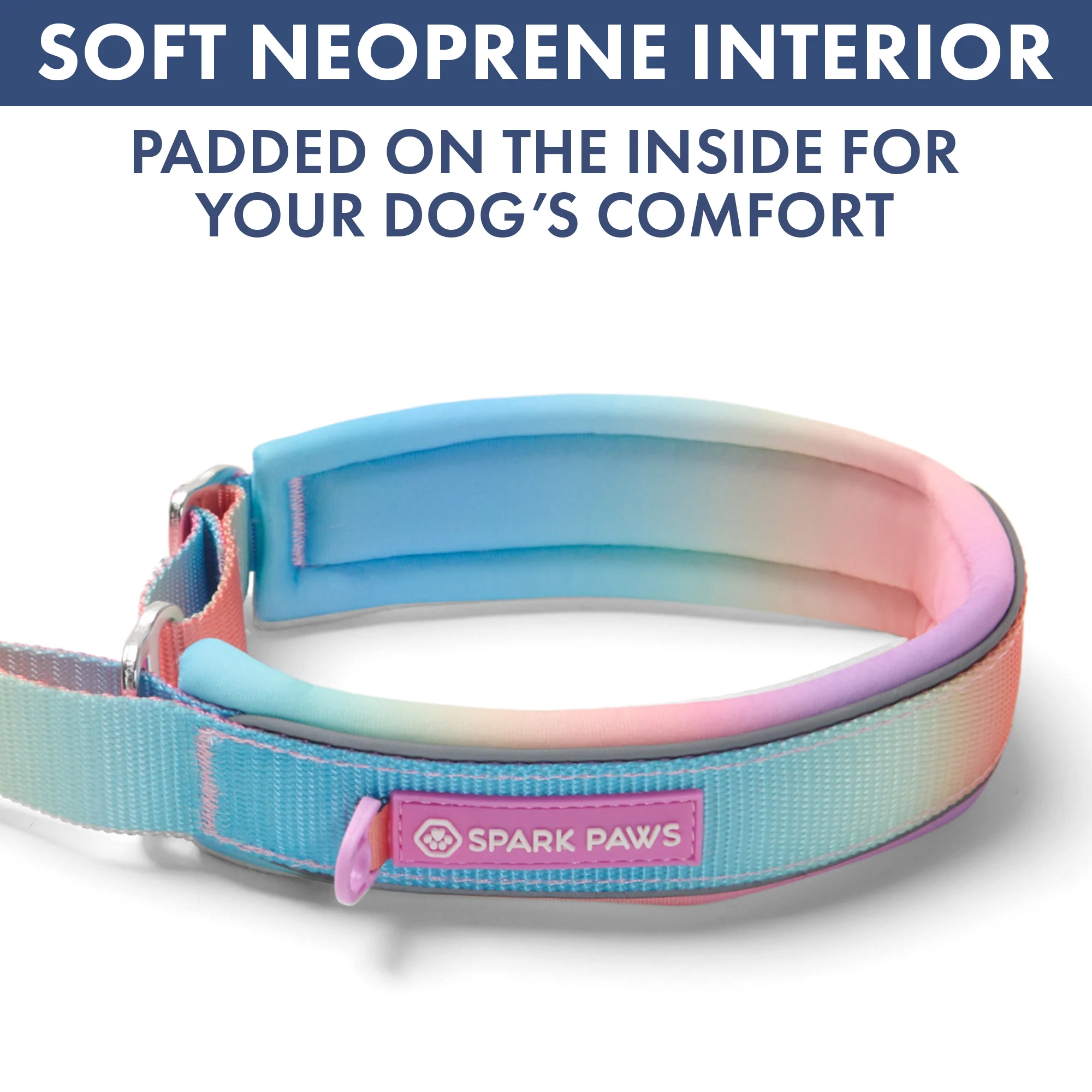 Martingale Collar Set - Pastel Icing - Image 6