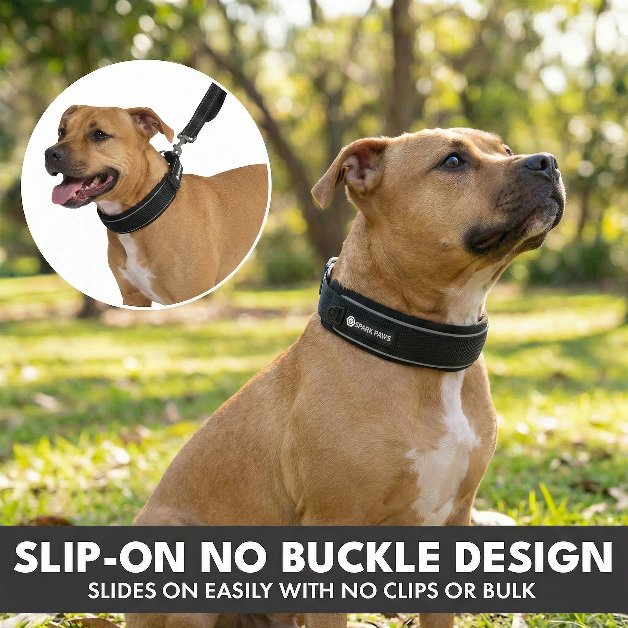 Martingale Collar Set - Black - Image 5