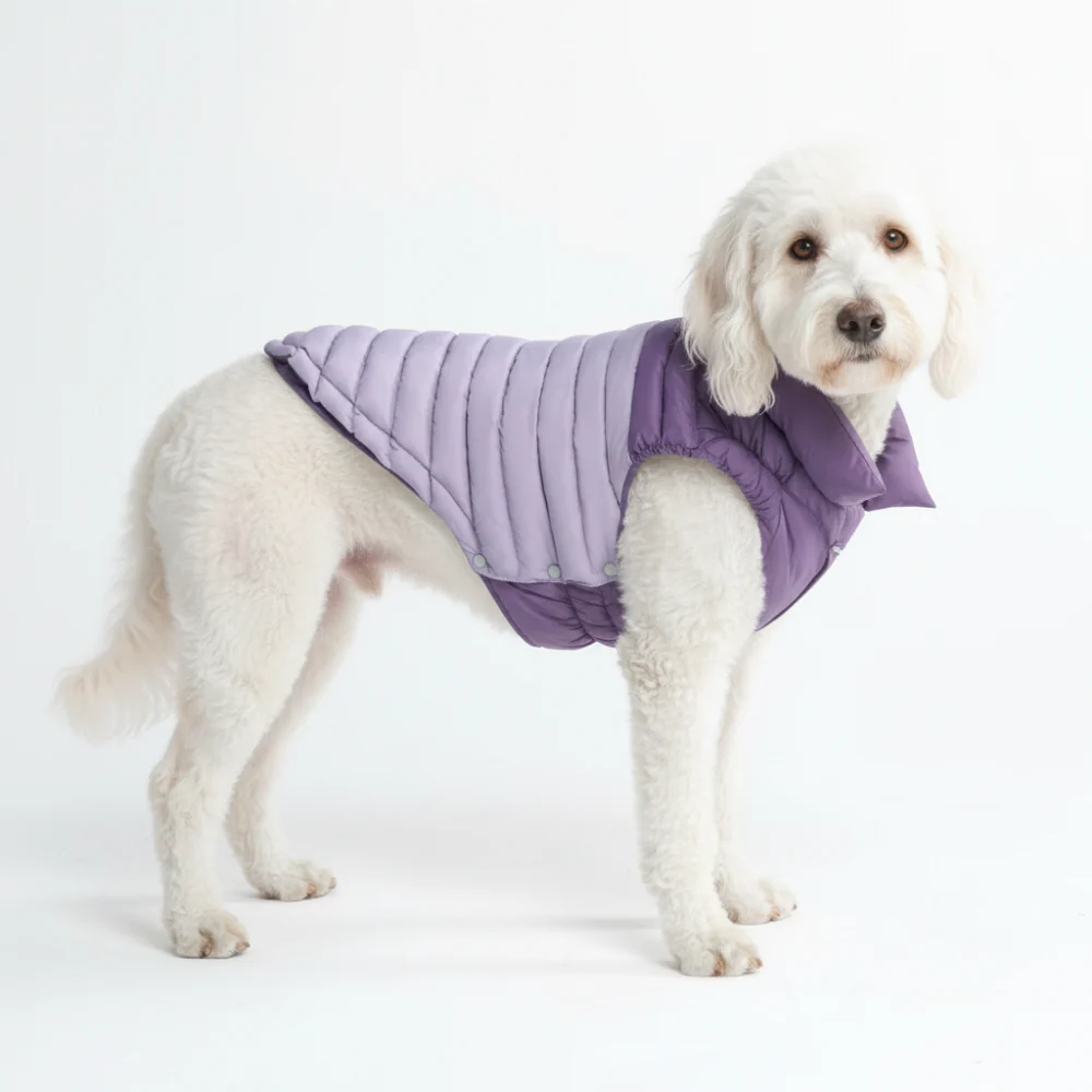 PuffShield Winter Jacket - Purple - Image 3