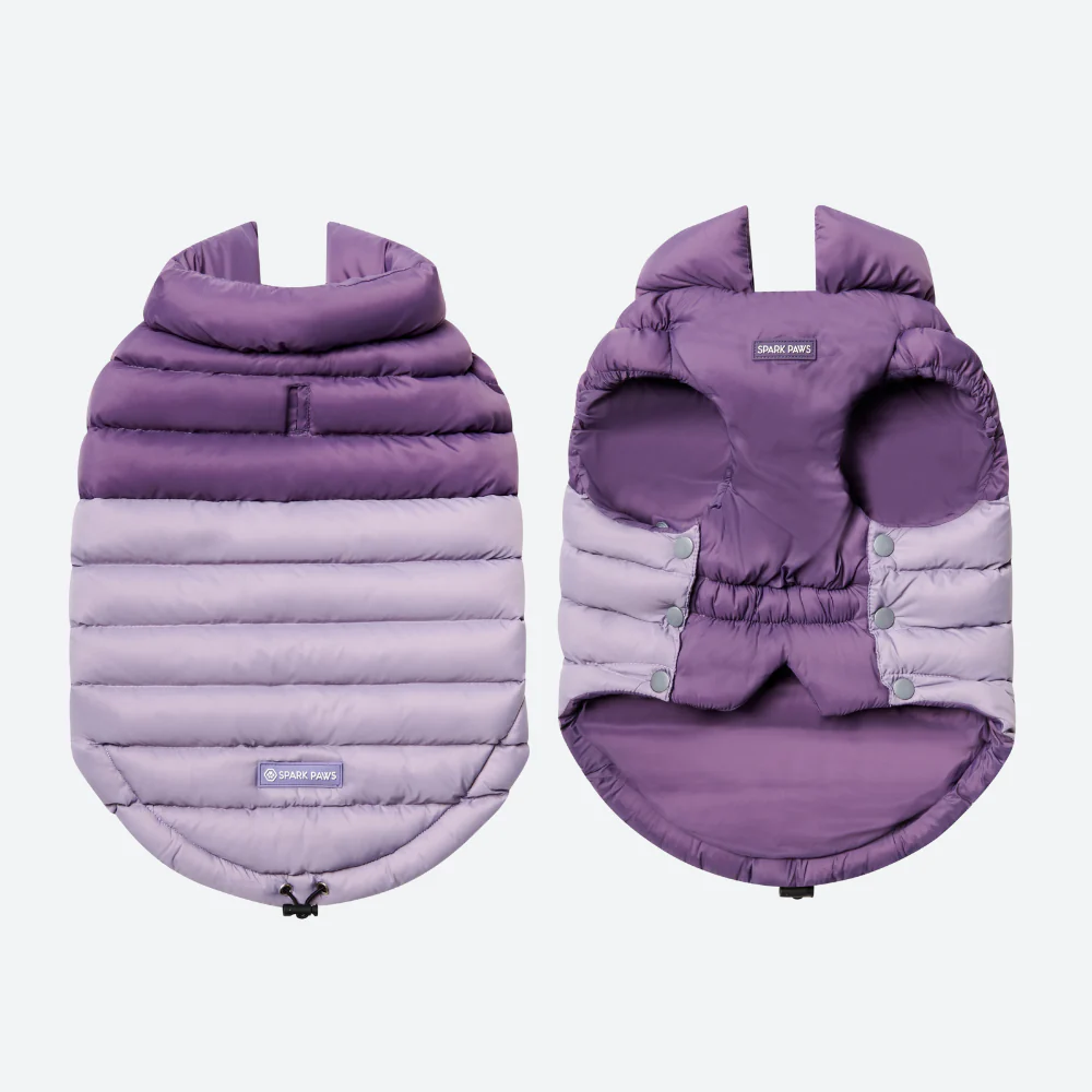 PuffShield Winter Jacket - Purple - Image 6