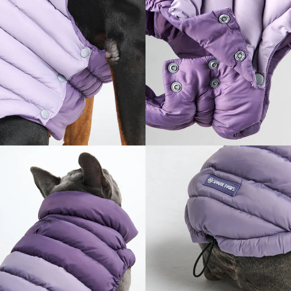 PuffShield Winter Jacket - Purple - Image 7