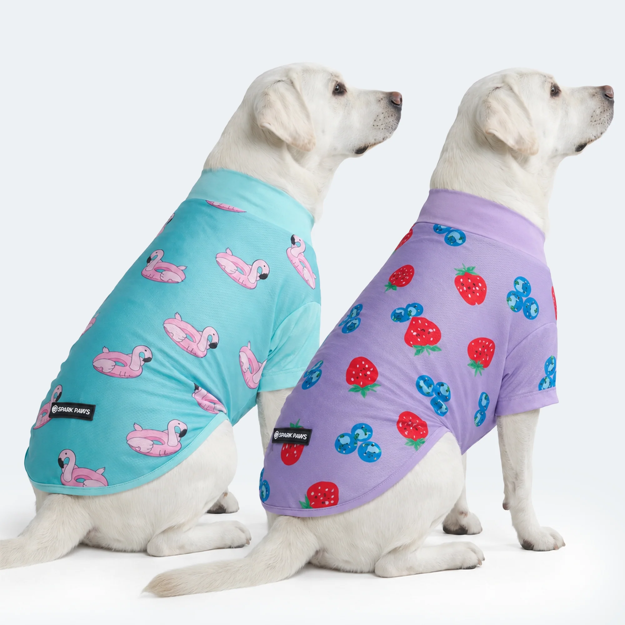 Sunblock Dog T-Shirt 2-pack - Image 26