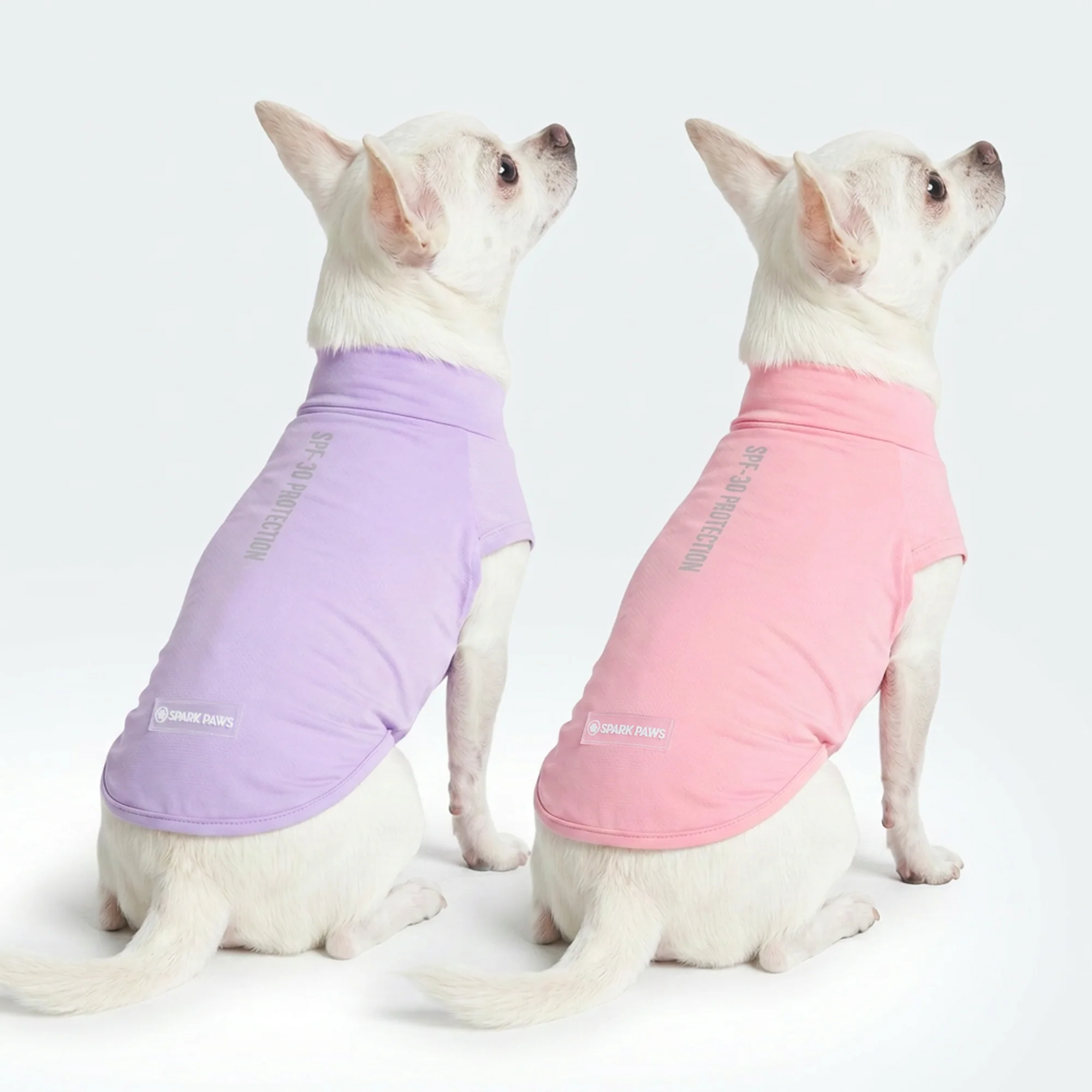 Sunblock Dog T-Shirt 2-pack - Image 66