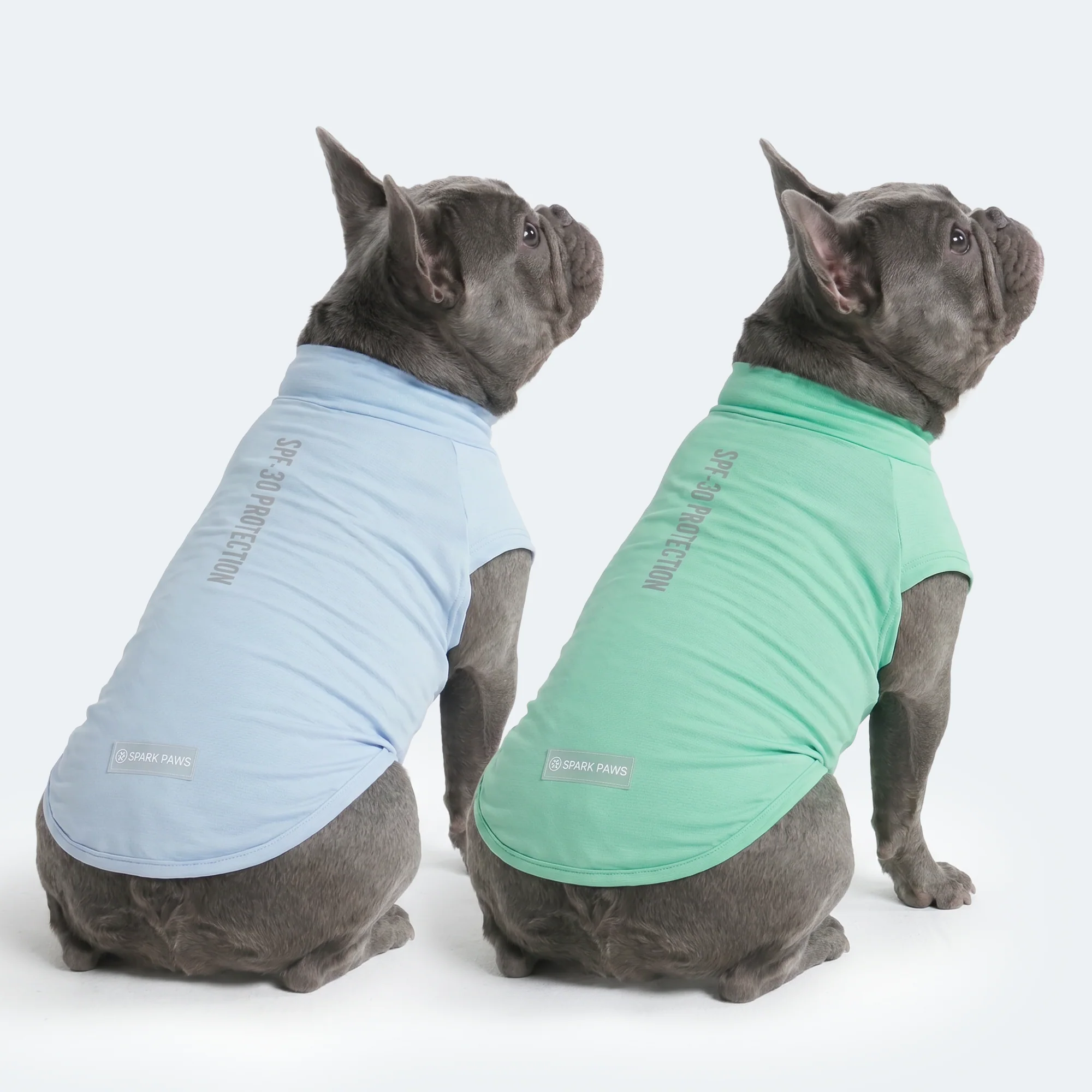 Sunblock Dog T-Shirt (2-pack) - Blue Mint